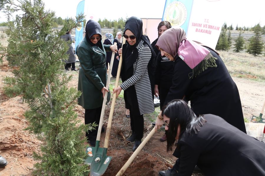 8 Mart Dünya Kadınlar Gününe özel hatıra ormanı oluşturmak için fidan dikimi yapıldı