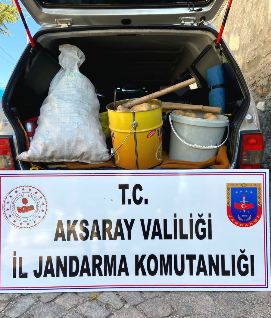 TARLADAN PATATES ÇALAN ŞAHIS YAKALANDI