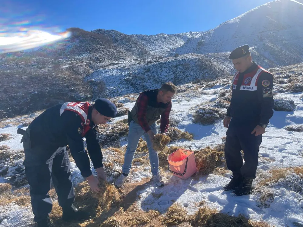 AKSARAY İL JANDARMA KOMUTANLIĞI  ÇALIŞMALARINI SÜRDÜRÜYOR