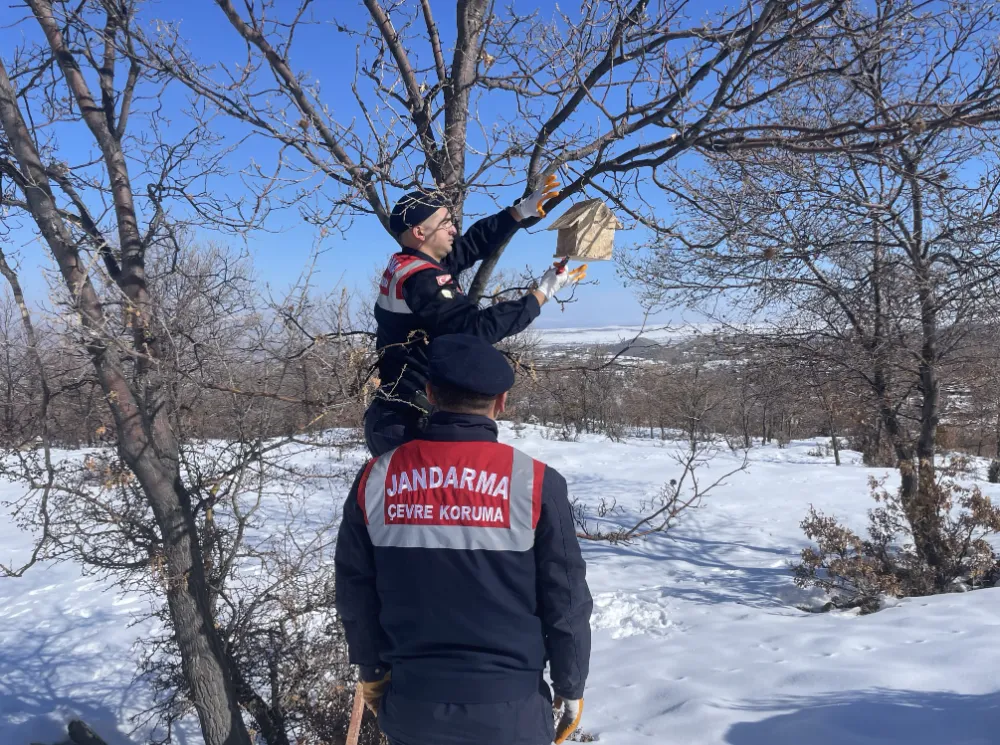 Doğa ve Hayvanları Koruma Timi (HAYDİ) tarafından kuşlara yem ve yuva yapıldı