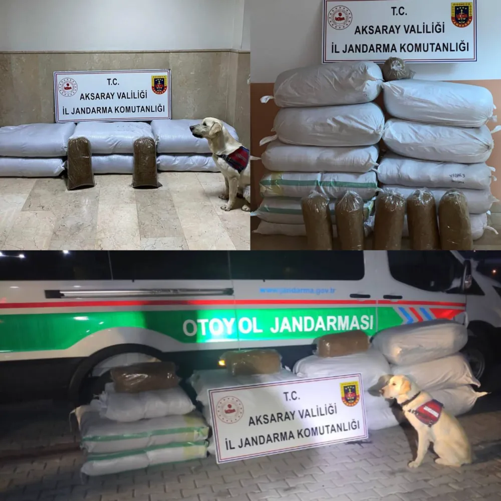 Niğde Ankara Otoyolu ve Adana-Aksaray Karayolu Üzerinde Yapılan Kontrollerde 790 kg Bandrolsüz Kıyılmış Tütün Ele Geçirildi